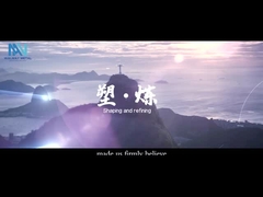 Промо-видео Шанхайской Walmay Metal Group